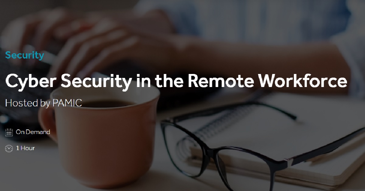 Cyber Security in the Remote Workforce